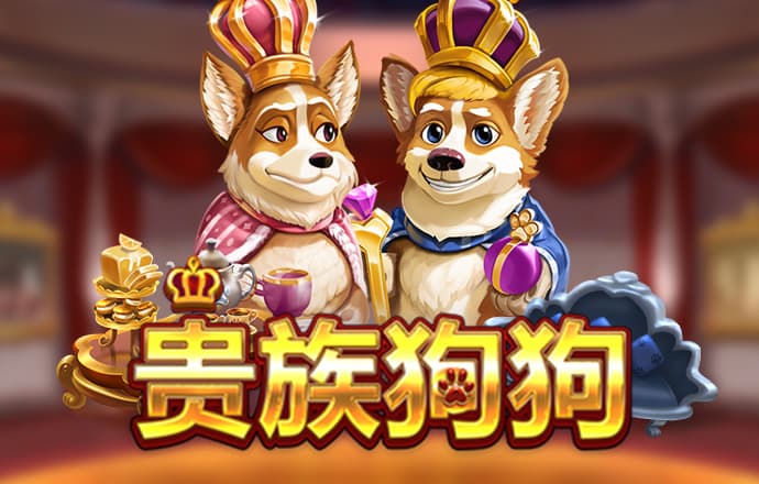 开云app官方版入口